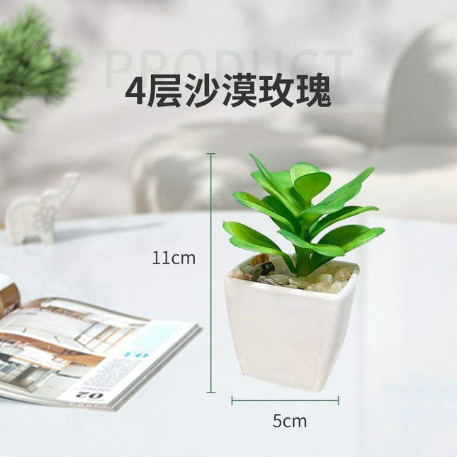 Miniature faux succulent cactus plant in small indoor pot on white background