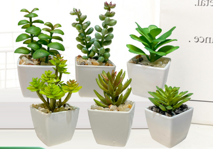 Miniature faux succulent cactus indoor plant pot on white background