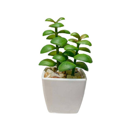 Miniature faux succulent cactus indoor plant pot on white background