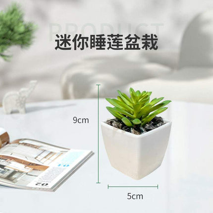 Miniature faux succulent cactus plant in small decorative pot for indoor decor