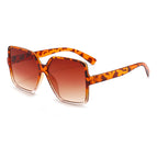 Transparent and Leopard Print