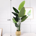 [1.8m] Traveler Banana -13 Leaf Black Glue Basin