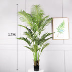 [1.7m] Multi-fork rich Kwai -17 leaves