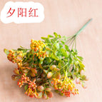 7 fork small wild fruit sunset