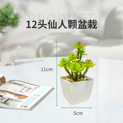 Miniature faux succulent cactus plant in small indoor pot on white background