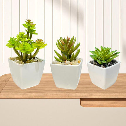 Miniature faux succulent cactus indoor plant pot on white background