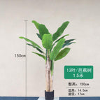 [1.5m] banana tree-pole 3