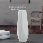 Polygonal Plain Flask