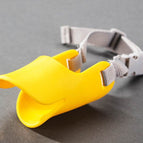 Yellow / M