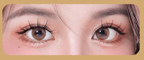 GlueFree magnetic lashes on packaging showcasing natural, reusable eye-enhancing artificial fiber eyelashes