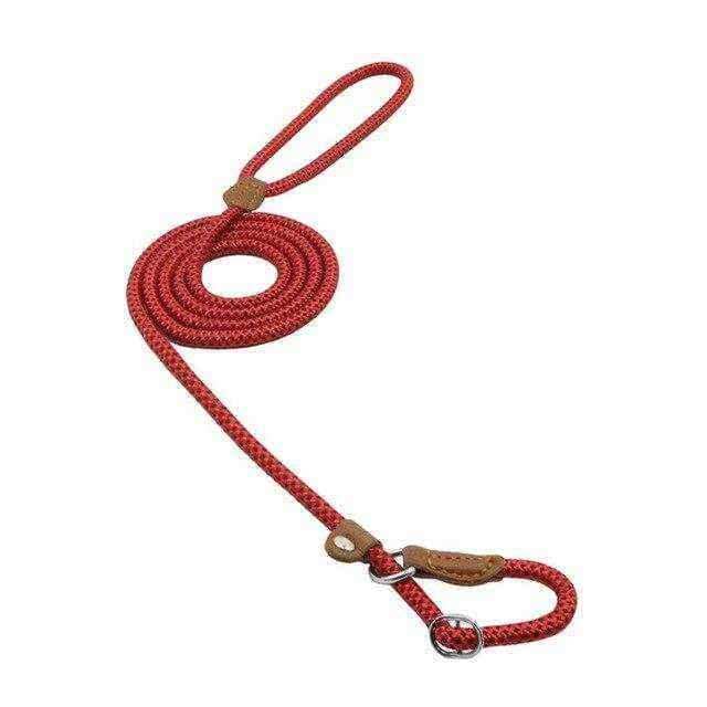 Durable nylon pup set with collar and lead featuring ripstop nylon and PU leather accents