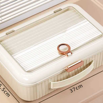 Document Storage Bag and File Holder for Important Papers