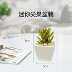 Mini pointed fruit pot