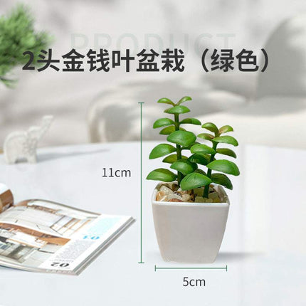 Miniature faux succulent cactus indoor plant pot on white background