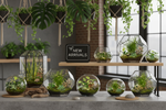 plant terrariums new arrivals urban jungle